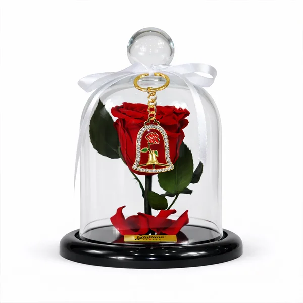 Mini Rosa Encantada Vermelha e Chaveiro de Rosa
