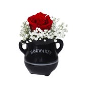 Caneca Caldeirão Hogwarts com Rosa Encantada Vermelha