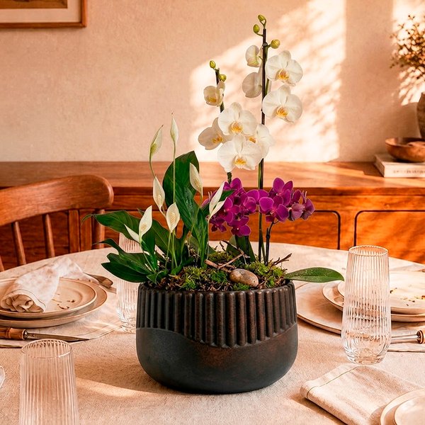 Orquídea Phalaenopsis e Mini Rara e Lírio da Paz - Vaso Lisboa Preto
