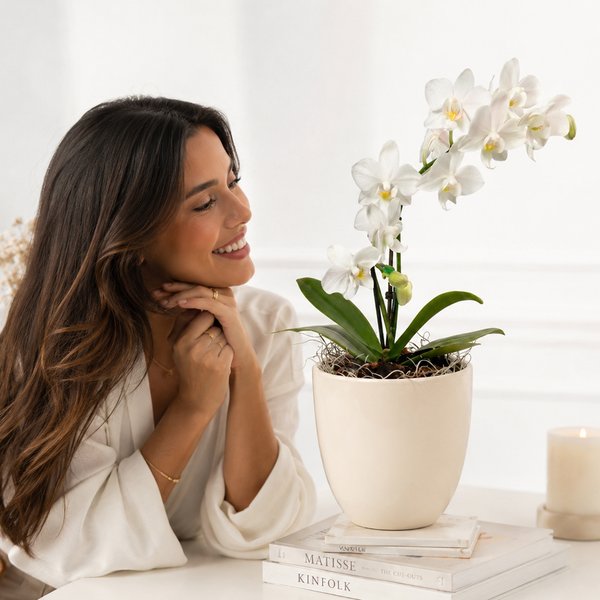 Orquidea Mini Rara Branca no Delicado Vaso Off White
