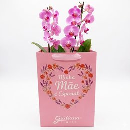 Imagem de Orquídea Pink Presente Minha Mãe é Especial