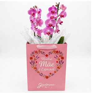 Imagem de Orquídea Pink Presente Minha Mãe é Especial
