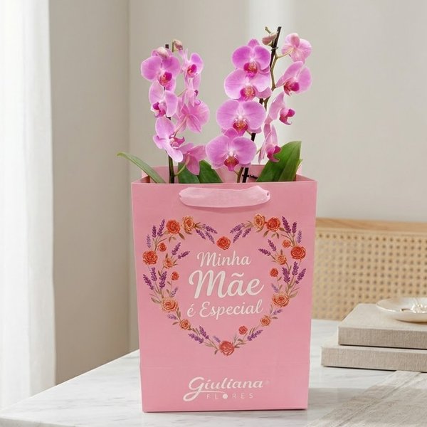 Orquídea Pink Presente Minha Mãe é Especial