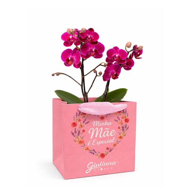 Mini Rara Lilás na Sacola Minha Mãe é Especial