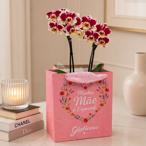 Mini Rara Mesclada na Sacola Minha Mãe é Especial