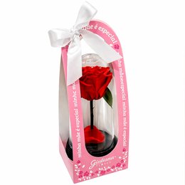 Imagem de A Bela Rosa Encantada Vermelha - Mãe Laço de Amor