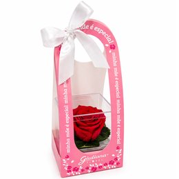 Imagem de Mini Box de Rosa Encantada Vermelha - Mãe Laço de Amor