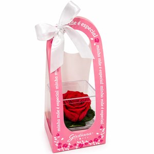 Imagem de Mini Box de Rosa Encantada Vermelha - Mãe Laço de Amor