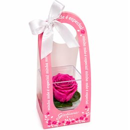 Imagem de Mini Box de Rosa Encantada Pink - Mãe Laço de Amor