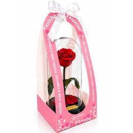 Imagem de Fabulosa Rosa Encantada Vermelha - Mãe Mega Amor