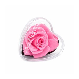 Imagem de Mini Coração Encantado Cor de Rosa