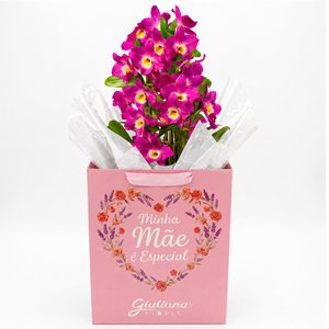 Imagem de Orquídea Dendrobium Lilás Plantada - Minha Mãe é Especial
