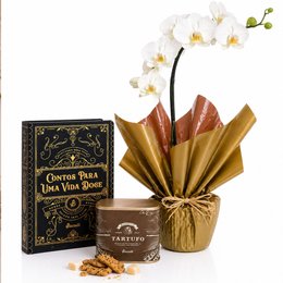 Imagem de Orquídea Phalaenopsis Branca Plantada e Biscoitê