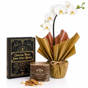 Imagem de Orquídea Phalaenopsis Branca Plantada e Biscoitê