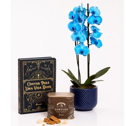 Imagem de Orquídea Phalaenopsis Azul Decore e Biscoitê