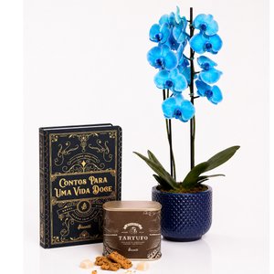 Imagem de Orquídea Phalaenopsis Azul Decore e Biscoitê