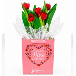 Imagem de Tulipas Plantadas Vermelhas - Minha Mãe é Especial
