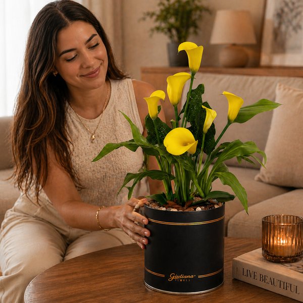 Callas Amarelo Plantado no Box Giu