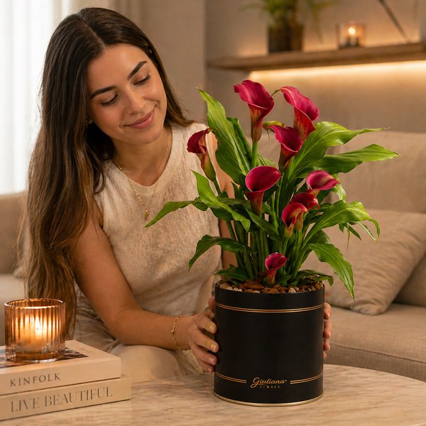 Callas Vinho Plantado no Box Giu