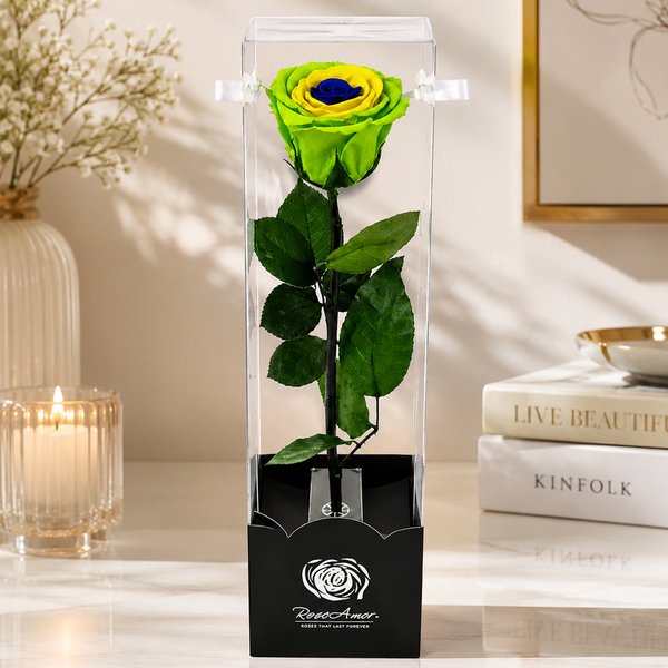 Rosa Encantada Brasil - 3 Cores