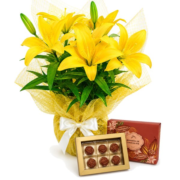 Lírio Amarelo Plantado e Caixa de Chocolate Giu