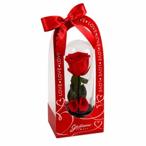 Imagem de A Bela Rosa Encantada Vermelha - My Love