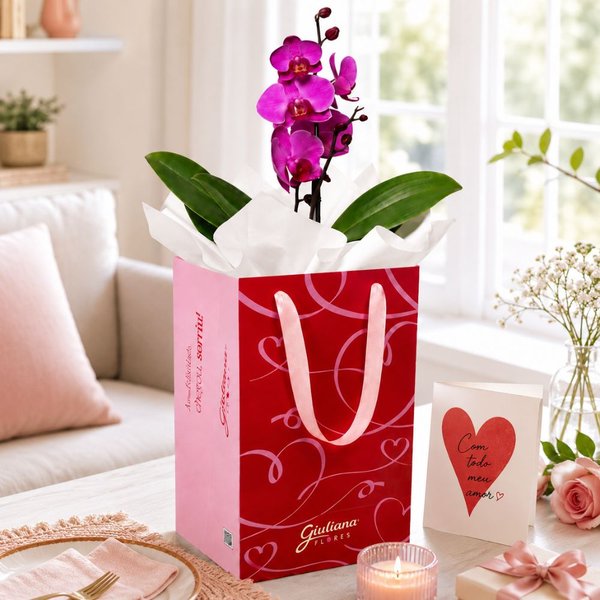 Orquídea Phalaenopsis Pink para Presente - Bag Love