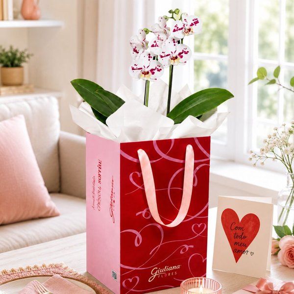 Orquídea Phalaenopsis Branca Mesclada para Presente - Bag Love