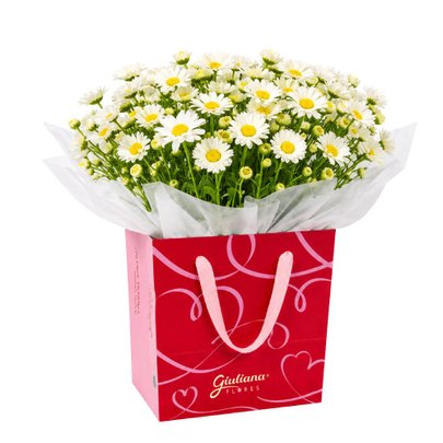 Margaridinhas Plantadas Brancas na Bag Love