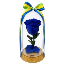 Imagem de A Bela Rosa Encantada Azul Brasil