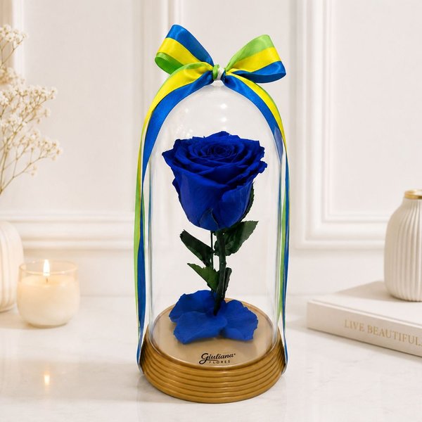 A Bela Rosa Encantada Azul Brasil