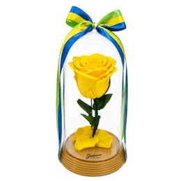 Imagem de A Bela Rosa Encantada Amarela Brasil
