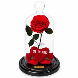 Imagem de A Rosa Encantada Vermelha e Mini Pelúcia Coração