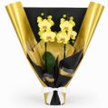 Majestosa Orquídea Phalaenopsis Amarela