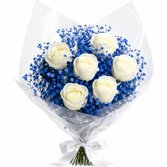 Buquê Safira com 6  Rosas Brancas