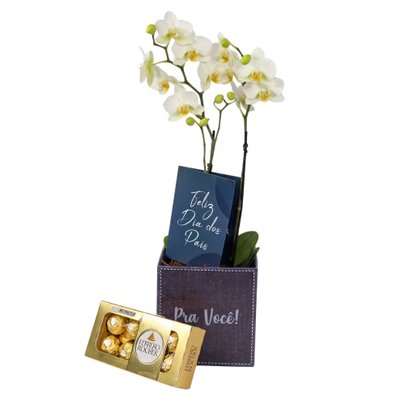 Mini Orquídea Rara Branca com Ferrero Rocher Dia dos Pais