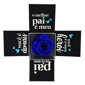 Imagem de Mini Box Surpresa Pai Te Amo