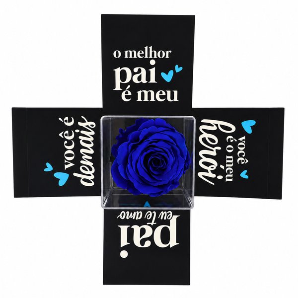 Mini Box Surpresa Pai Te Amo