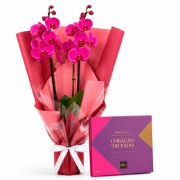 Imagem de Majestosa Phalaenopsis Pink e Caixa Corações Trufados Ofner 210g