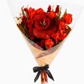 Buquê Criatividade de Flores Secas Vermelho