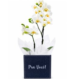 Imagem de Mini Orquídea Rara Branca no Box Pra Você
