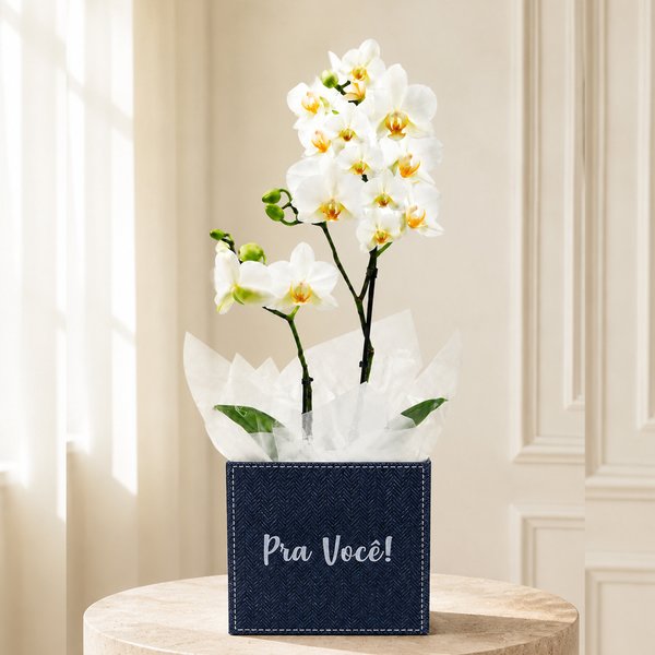 Mini Orquídea Rara Branca no Box Pra Você