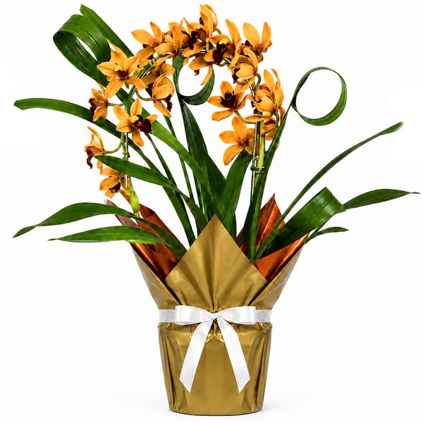Orquídea Cymbidium Laranja Pendente