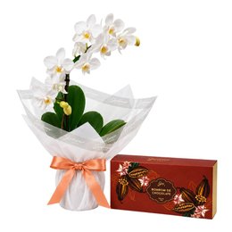 Imagem de Mini Orquídea Rara Branca e Bombom Giuliana Flores 3 Und