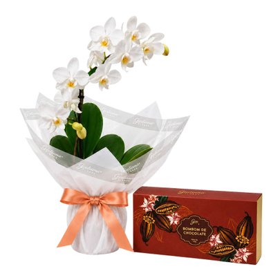 Mini Orquídea Rara Branca e Bombom Giuliana Flores 3 Und