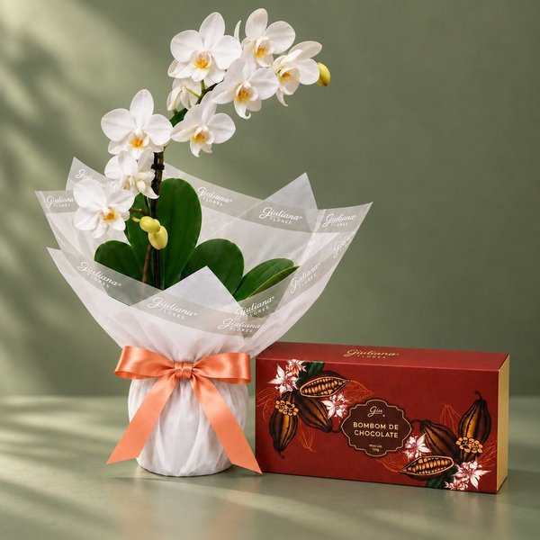 Mini Orquídea Rara Branca e Bombom Giuliana Flores 3 Und