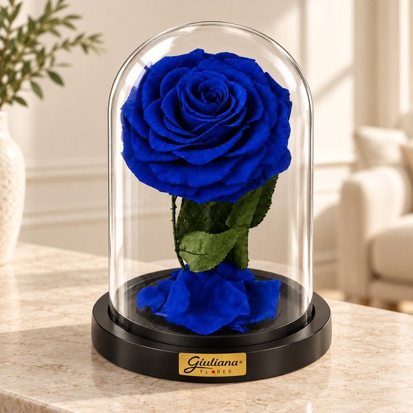Rosa Encantada Azul Suprema Absoluta
