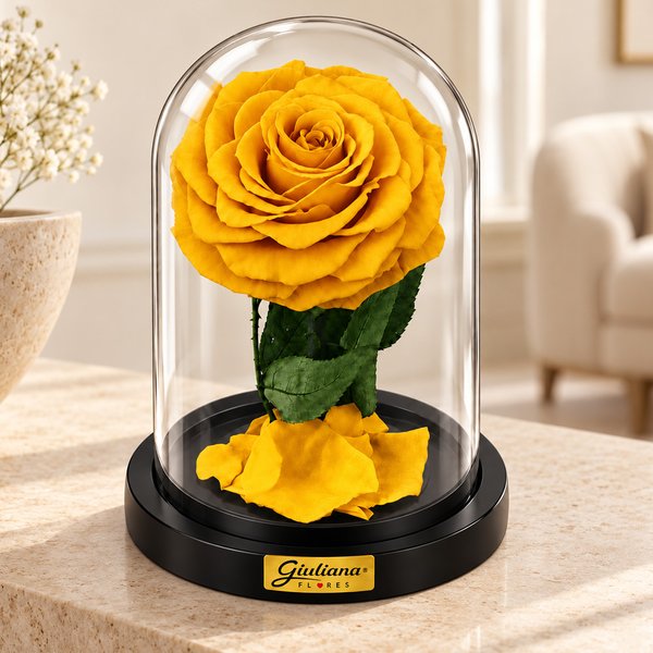 Rosa Encantada Amarela Suprema Absoluta