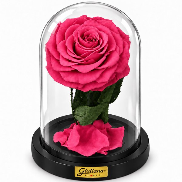 Rosa Encantada Pink Suprema Absoluta