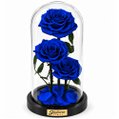 Rosa Encantada Azul Suprema Trio